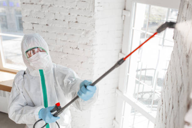 Best HVAC Mold Inspection and Cleaning  in Rotan, TX