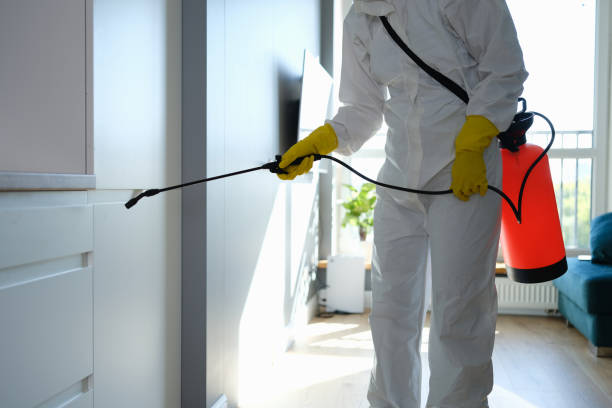 Biohazard Mold Removal in Rotan, TX