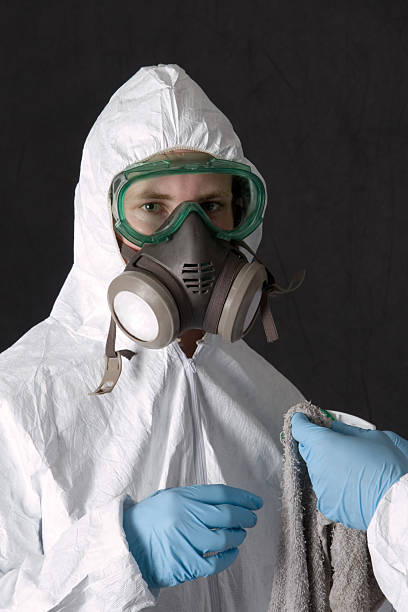 Reliable Rotan, TX Mold Removal Solutions
